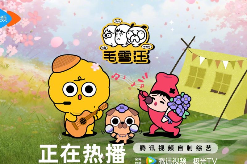 腾讯综艺海外看不了？一招教你解锁《毛血汪》等鹅厂新综