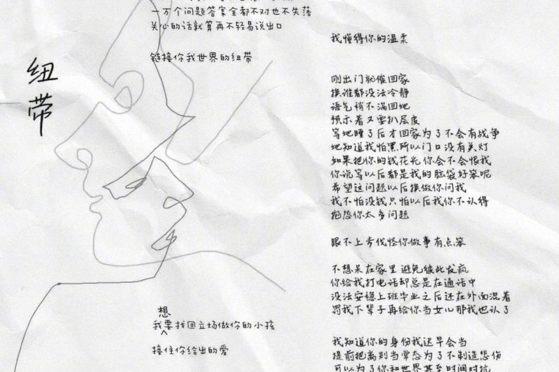 海外华人看不了国内音综？3个小技巧帮你解锁《让我来唱》完整版