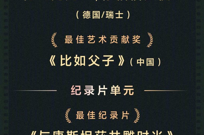 海外华人看不了上海电影节获奖影片？3个小技巧帮你破解地区限制