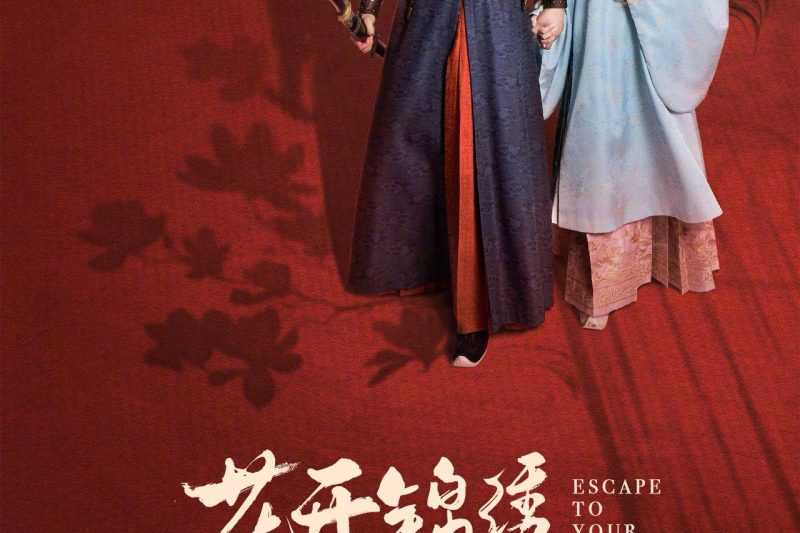 海外华人看《花开锦绣》总卡顿？3个实用技巧帮你秒解地区限制