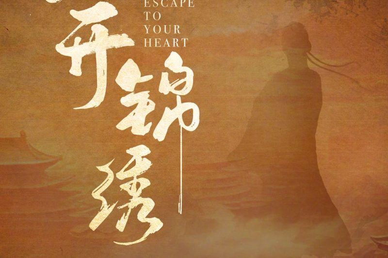 海外华人必看！一招解除《花开锦绣》等国产剧地区限制，追剧不再卡顿