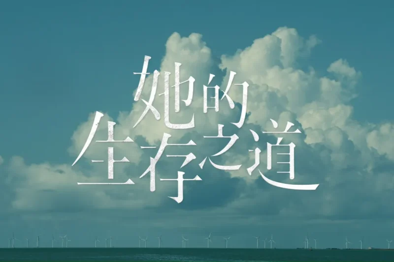 海外华人如何解锁《她的生存之道》？一招解决腾讯视频地区限制