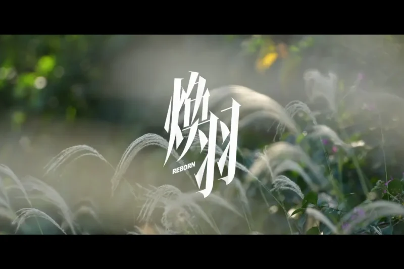 海外华人看不了《焕羽》急哭了？3招破解腾讯视频地区限制，亲测有效！