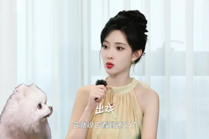 海外华人必看！一招解除微博视频限制，孟子义狗狗塌房热搜笑翻全网
