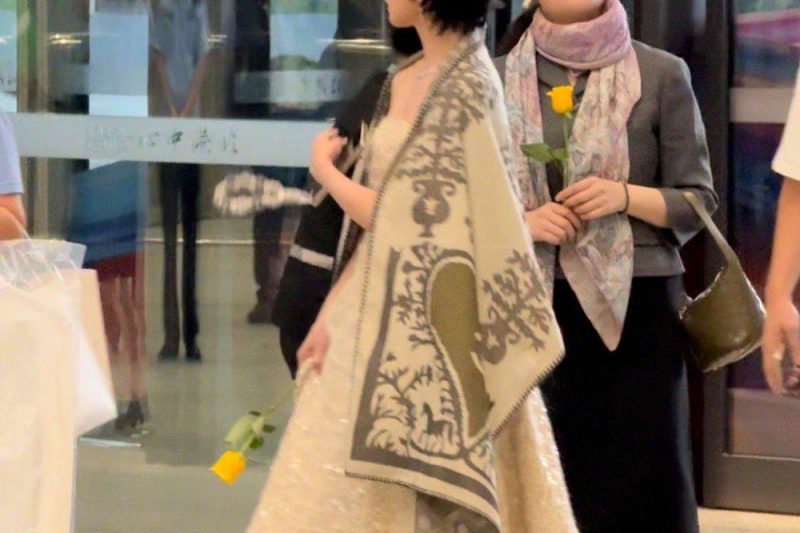 海外华人如何解除限制？一文学会观看《玫瑰的故事》及白玉兰红毯直播
