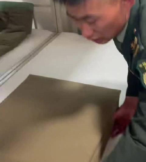 奥运冠军黄雨婷叠出完美豆腐块！网友：这手速不愧是射击冠军