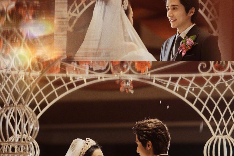 海外华人如何观看《淬火年代》世纪婚礼？一招解决地区限制问题