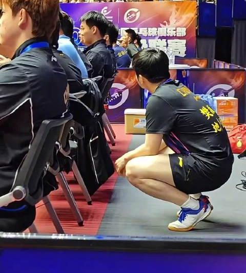 樊振东备战德甲太拼了！海外华人如何突破限制看国内体育赛事？