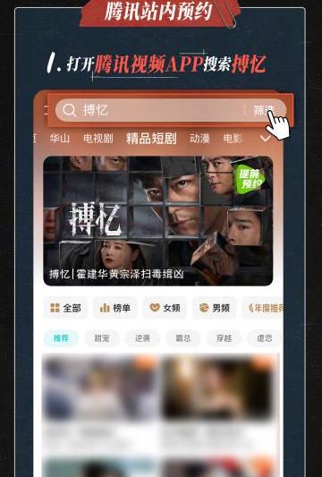 海外华人看国内影视全攻略