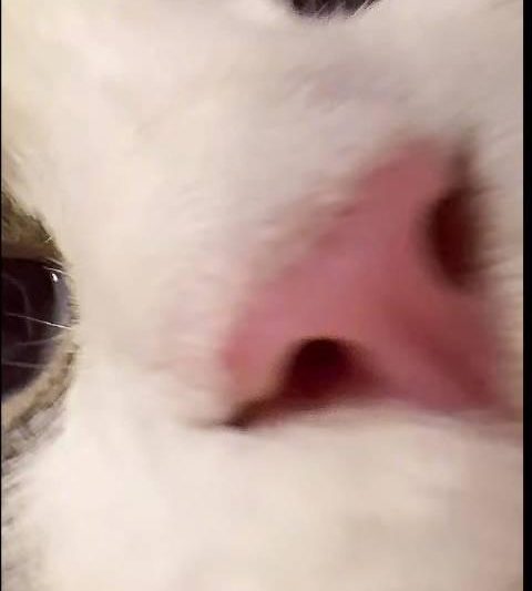 海外华人看不了国服游戏和视频？3招教你秒解地区限制，告别卡顿延迟！