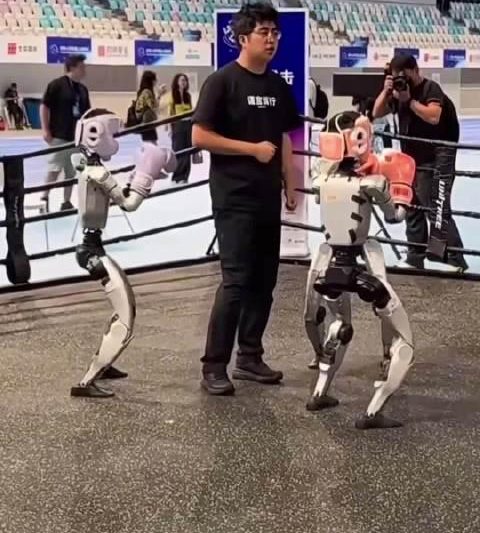 机器人搏击手太实诚引全网爆笑！2025人形机器人运动会意外出圈，网友：这波操作我给满分