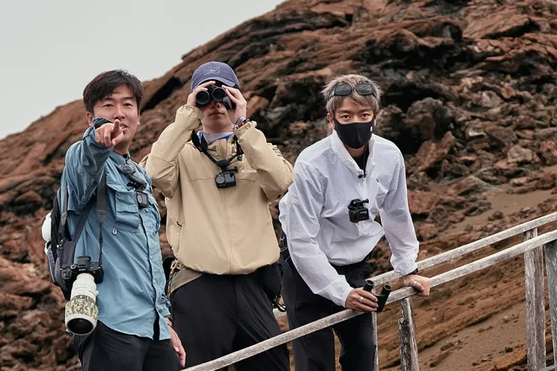 海外华人追剧攻略：突破地区限制