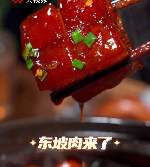 3步搞定！海外华人如何解除视频限制，轻松追看《东坡肉》等国内热门内容？