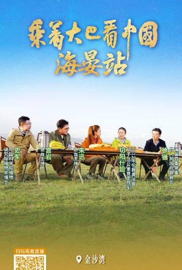 海外华人必看！三步解决视频地区限制，轻松追剧无压力