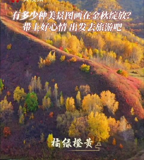 海外华人看不了朱广权金秋美景？3招教你轻松解锁国内视频限制