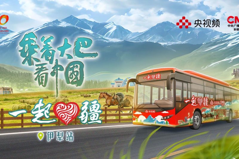 海外华人必看！如何解锁《乘着大巴看中国》伊犁篇，重温那片令人心动的秋日风光