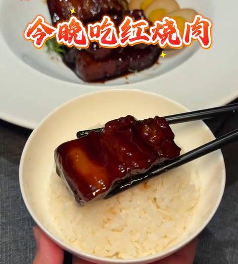 红烧肉配米饭，这才是中国人的灵魂美食！一口下去幸福感爆棚