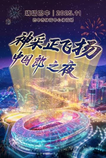 海外华人追剧听歌不再愁！2025央视巴中音乐盛典背后的地区限制破解指南