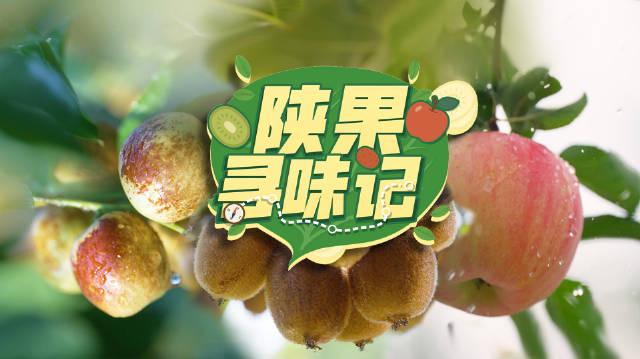 海外华人看国内影视卡顿？这个方法让你流畅追剧听歌