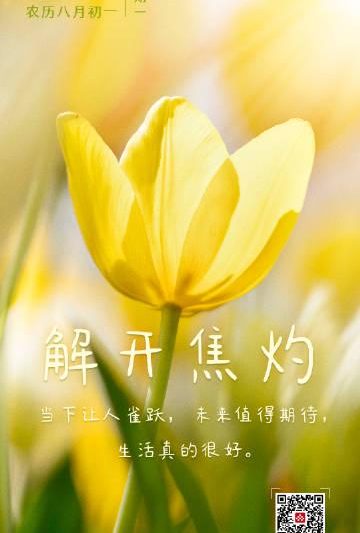 海外华人看不了国内综艺？3招破解地域限制，轻松追《解开焦灼生活》！