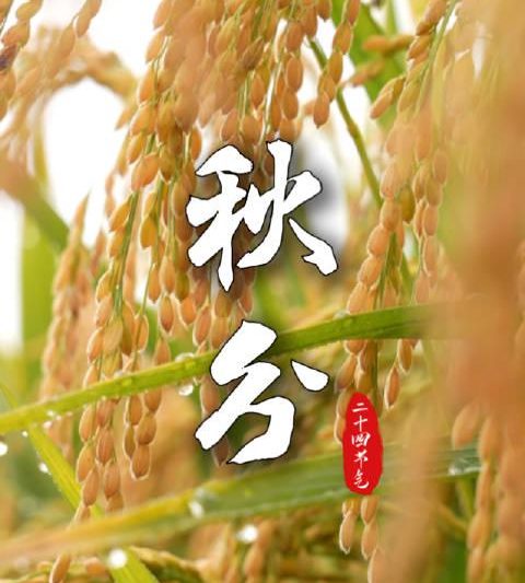 海外华人如何突破地区限制？3个实用技巧让你畅享国内影视综艺