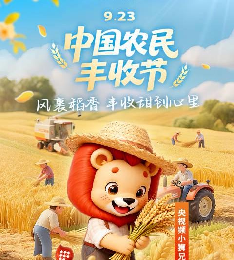 海外华人看不了国内视频？这个方法让你不再错过精彩内容