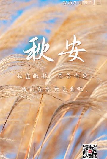海外华人看这里！轻松解除地区限制，不错过国内秋季限定浪漫