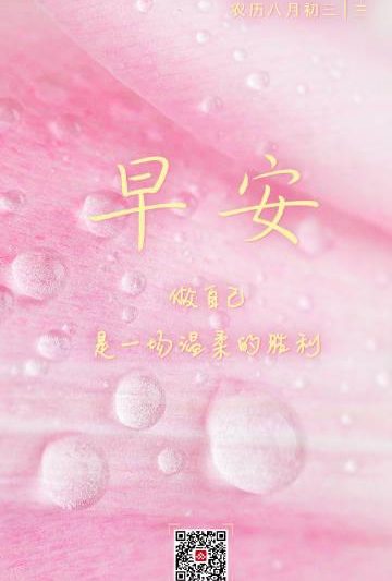 海外华人看不了国内综艺？3个实用技巧帮你轻松解锁地区限制