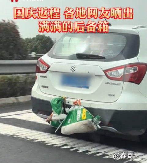 海外华人如何破解地区限制？3招教你轻松追完国庆返程暖心视频