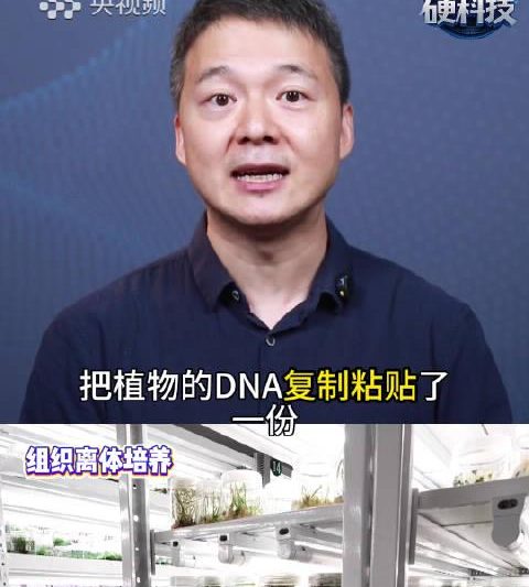 海外华人看不了国内影视剧？这个亚洲最大的种子库才是真正的诺亚方舟
