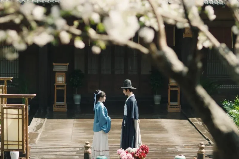 海外华人如何解除地区限制观看《女医进击录》？实用教程帮你解决播放卡顿问题