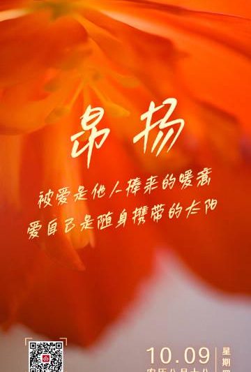 海外华人必看：3招解决视频卡顿烦恼，让你随时随地追剧无压力