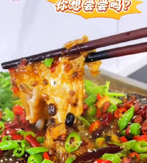 海外华人必看！三步解锁国内美食视频，深夜烤鱼不再望屏兴叹