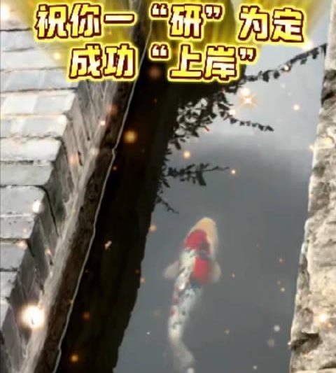 海外追剧困难户必看：2026考研季如何解决国内影视平台地区限制问题