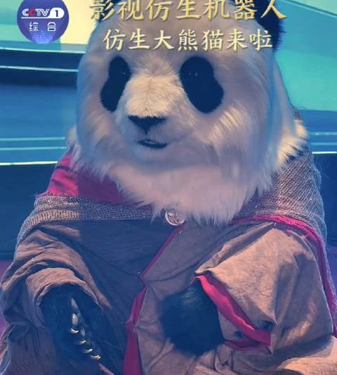 海外华人看不了央视大熊猫机器人？3招教你轻松解锁国内热门视频