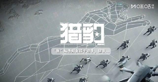 海外追剧党必看：手把手教你解锁国内热门影视资源