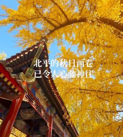 海外华人必看！三步解锁国内影视资源，轻松追剧无压力