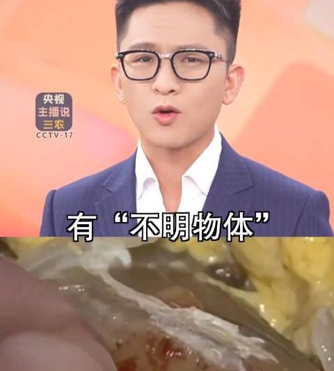 海外华人必看！轻松解决国内影视音乐平台地区限制的实用技巧