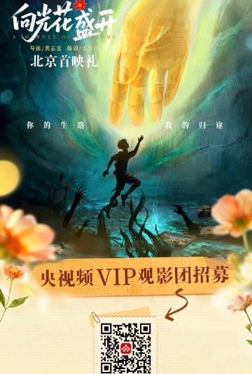 海外华人追剧不再愁！三步教你解锁国内影视资源限制