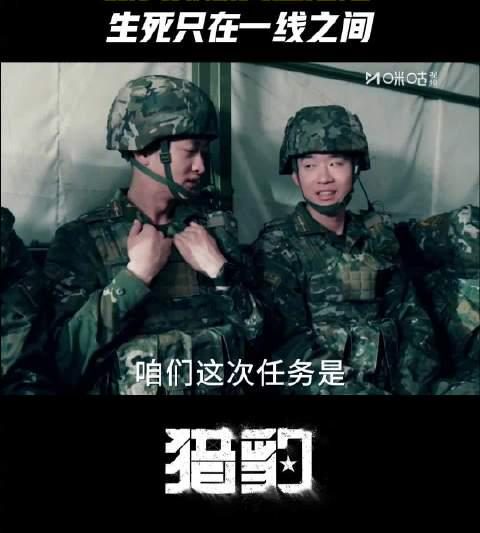 海外追剧党必看！手把手教你解锁《猎豹》等国产热播剧