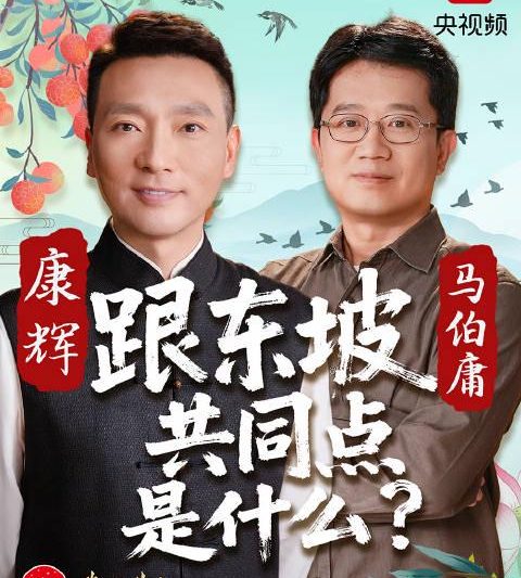 海外华人看不了央视节目？3招教你解锁《康辉马伯庸共话东坡》等国内热门内容