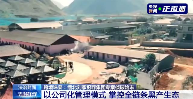 海外追剧党必看！3招教你破解地区限制，轻松看遍国内热门综艺