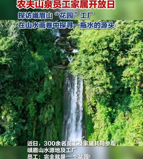 海外华人追剧听歌不再愁！实测5种方法突破地区限制，告别卡顿烦恼