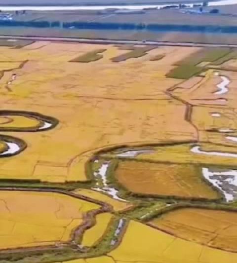 海外华人必看！解锁《感知幸福中国吉林行》完整版，和王一博一起感受秋日吉林的魅力