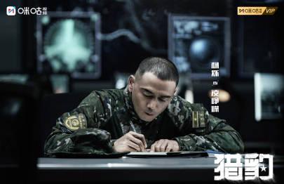 海外华人追剧烦恼全解析：从《猎豹》看如何突破地区限制看国产剧