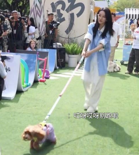 海外华人追剧指南：手把手教你突破地区限制，轻松看遍国内热门综艺