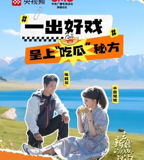 海外华人看不了《乘着大巴看中国》？3招教你解锁央视频地域限制