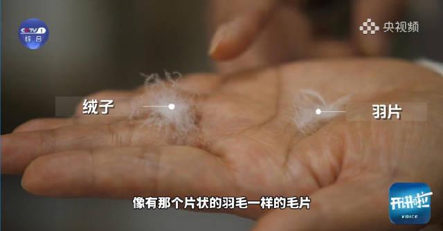 羽绒服选购避坑指南：这些保暖误区90%的人都中招了