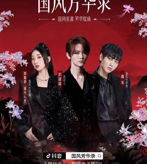 海外华人必看！3招教你解锁国内热门综艺《国风芳华录》