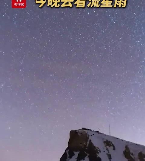 海外华人必看：手把手教你解锁国内影视资源，告别地区限制烦恼